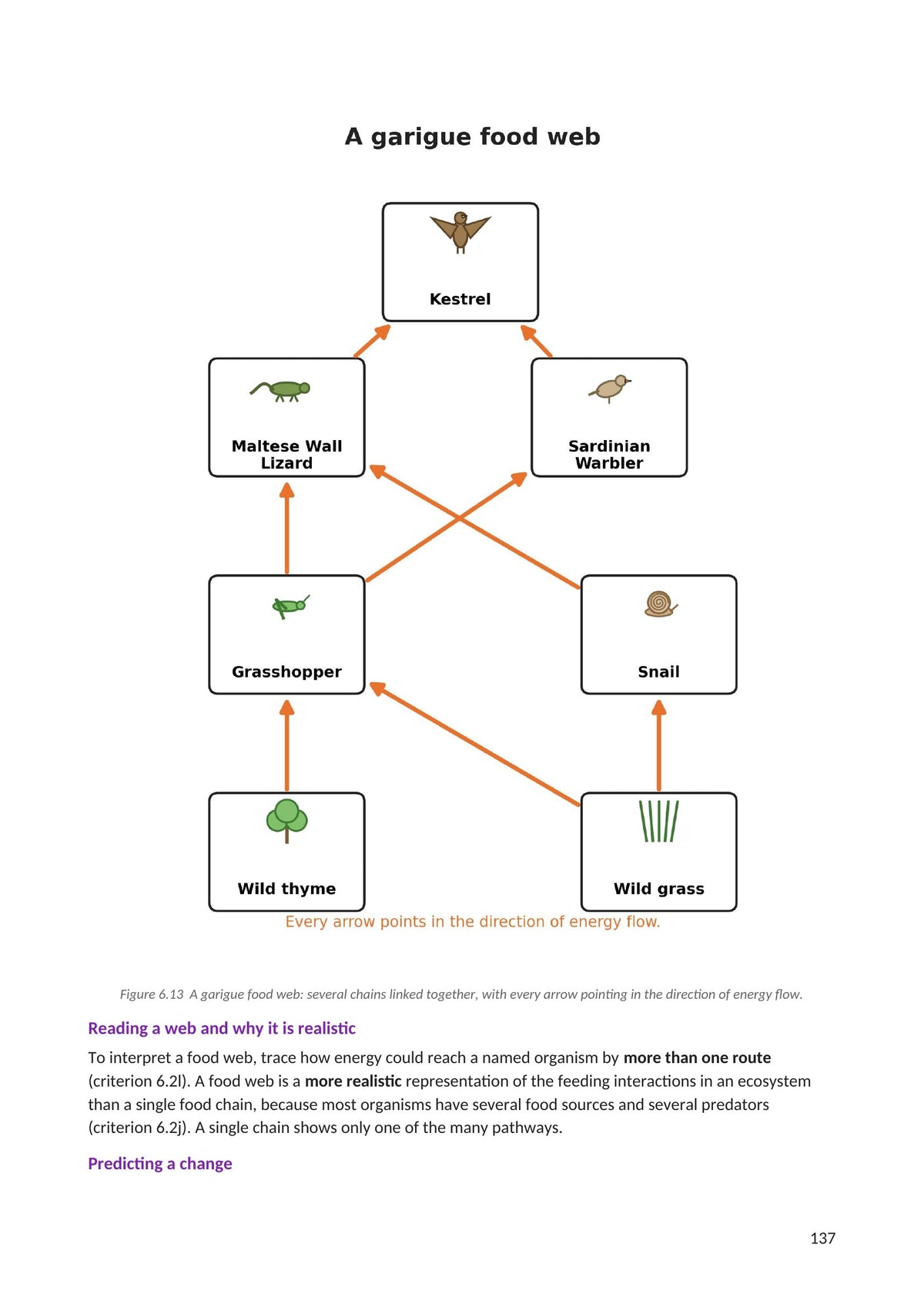 Ecosystems: a garigue food web built from Maltese species (page 137)
