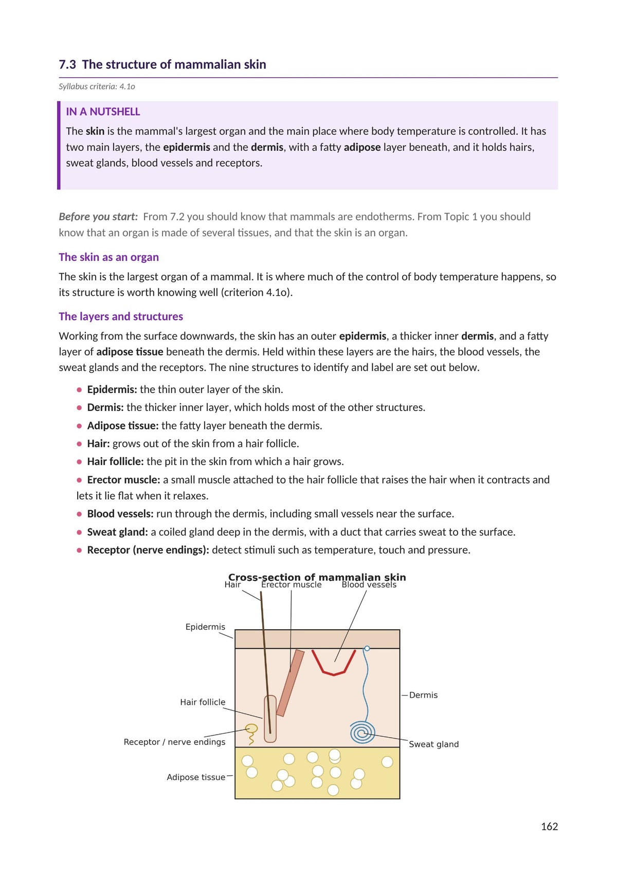 Homeostasis: a labelled cross-section of mammalian skin (page 162)